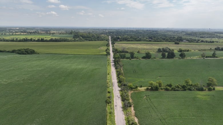 A country road cuts between lush, green farm fields.