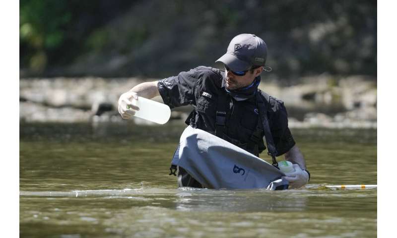 In Mississippi, a tiny fish is reintroduced to the river where it disappeared 50 years ago