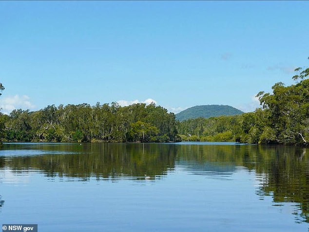 Turnbull was allegedly hired to dispose of Schafer-Turner's body to settle drug-related debt (pictured, Warrell Creek near Macksville where the body was found)