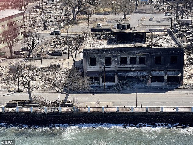 A handout photo made available by the Hawaii Department of Department of Land and Natural Resources shows an aerial view of the wildfire aftermath in Lahaina on Maui