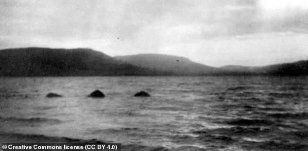 Ian HJ Lyster, of the Royal Scottish Museum, said the  appearance of the monster in the 1936 drawing explained previous descriptions and photographs, including one famous image (above) taken by Lachlan Stuart in 1951