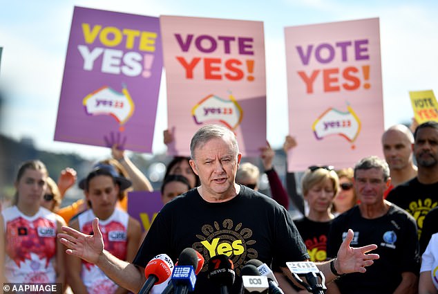 Farnham and the use of his song in the ad has helped garner recognition for the importance of an Indigenous Voice to Parliament (pictured, Anthony Albanese speaks to the media following Pat Farmer's arrival at the Sydney Opera House on his Run for the Voice campaign)