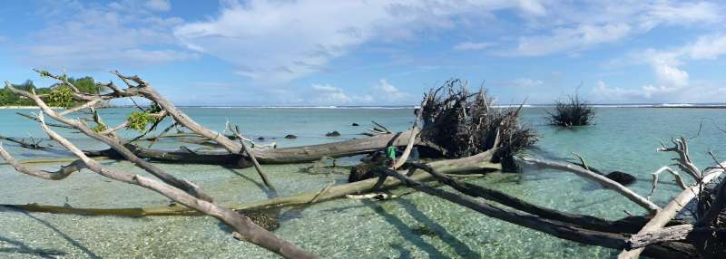 We studied more than 1,500 coastal ecosystems—they will drown if we let the world warm above 2℃