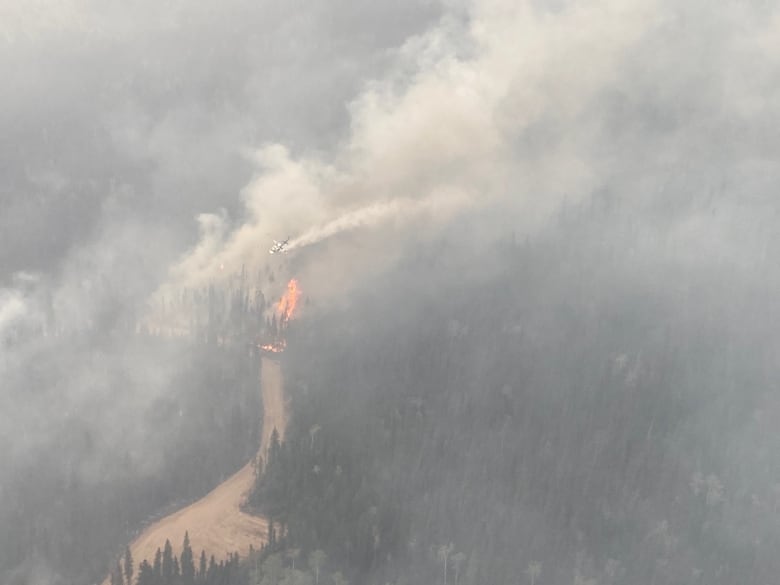 Smoke hangs over a forest. Flames rise from trees and a helicopter flies overhead.