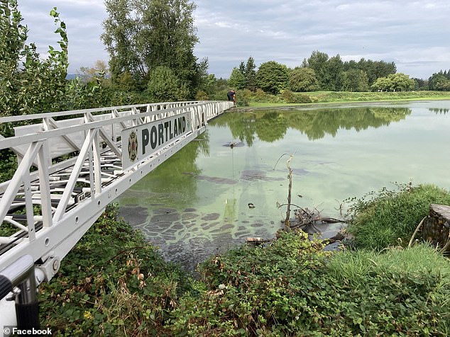 It firefighters around an hour to remove Pray from the pond using a rope and the ladder atop the fire engine in what the service described as a 'quite unusual' rescue mission