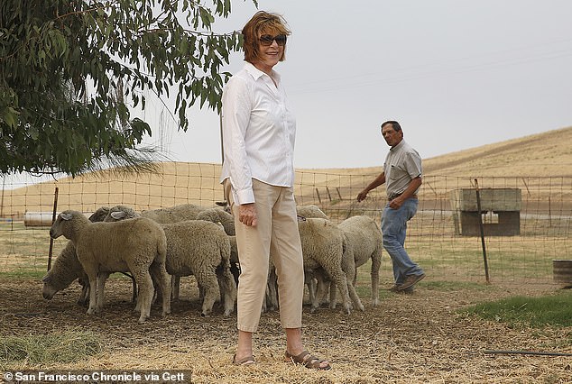 Jeannie McCormack and Al Medvitz, ranchers in Solano County, said in an interview they worry about the survival of their ranch after plans for California Forever were announced