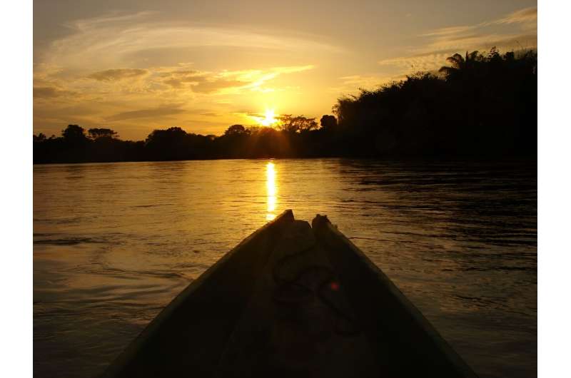 Extreme El Niño weather saw South America's forest carbon sink switch off