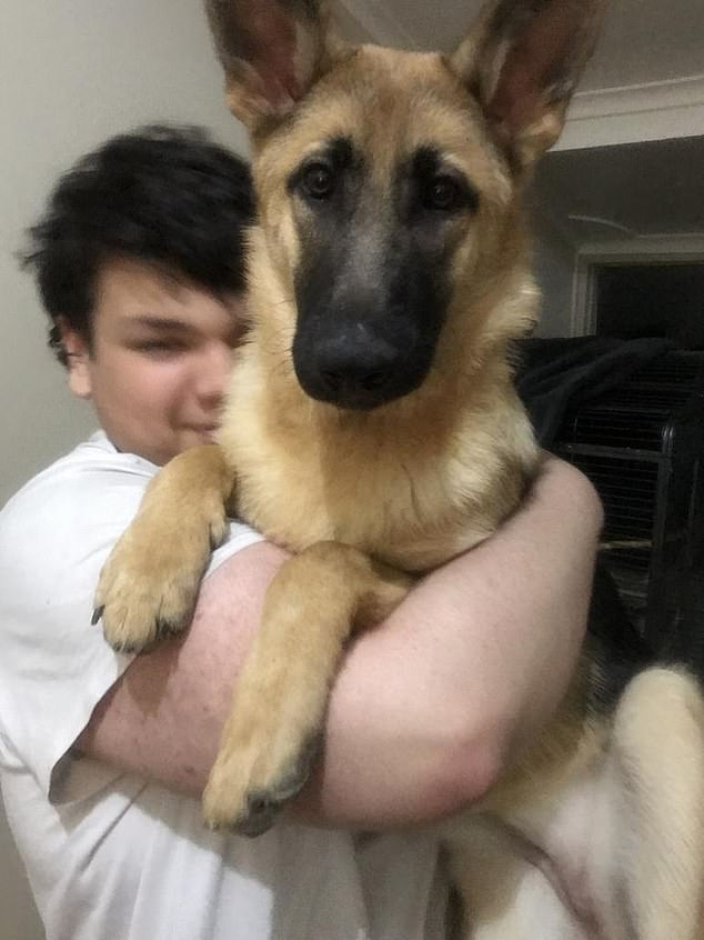 Ernesto Kauffman, 15, is pictured the family pet