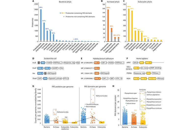 The origin and functional diversification of the Pert-Arnt-Sim (PAS) domain – an intracellular sensor 