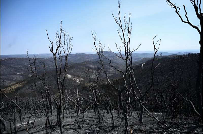 Heatwaves, droughts and wildfires struck Asia, Europe and North America over the last three months