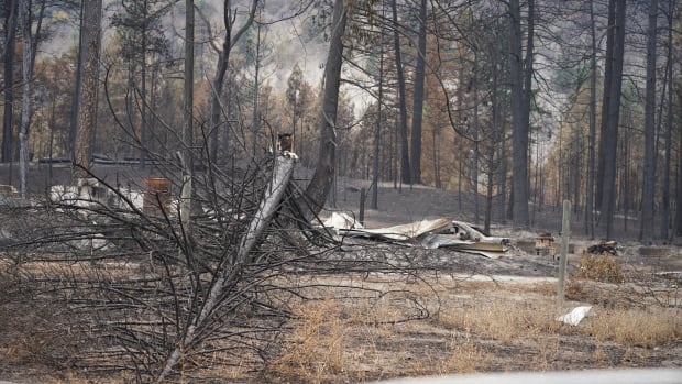 Canada’s ‘last resort’ recovery fund should make communities more disaster-resistant, critics say