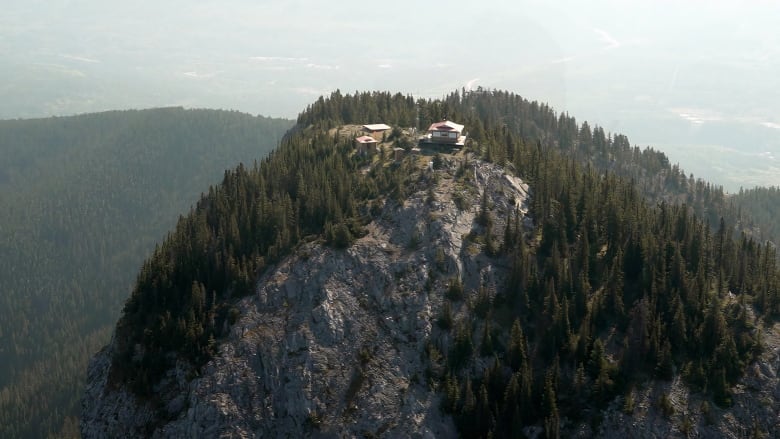 An aerial view of a lush green mountain. 