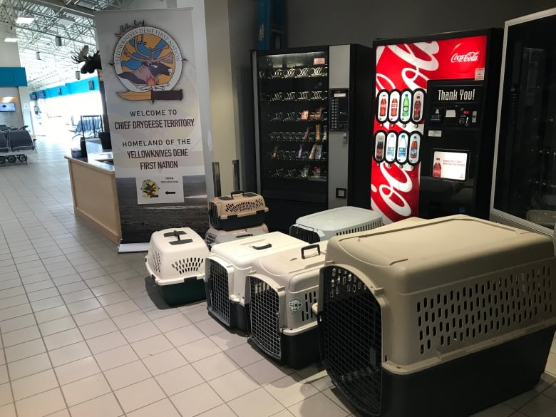 pet crates in airport terminal