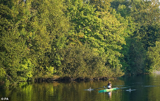 Rowers travel along the River Thames near Maidenhead in Berkshire this morning