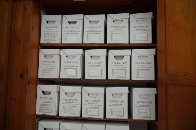 neatly labeled white boxes holding various lesbian magazines