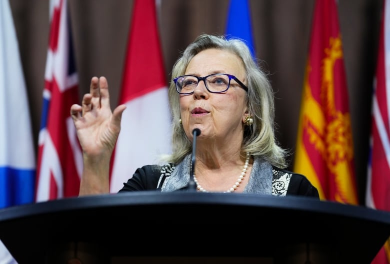 A woman in glasses speaks at a podium. Behind her are a row of provincial flags.