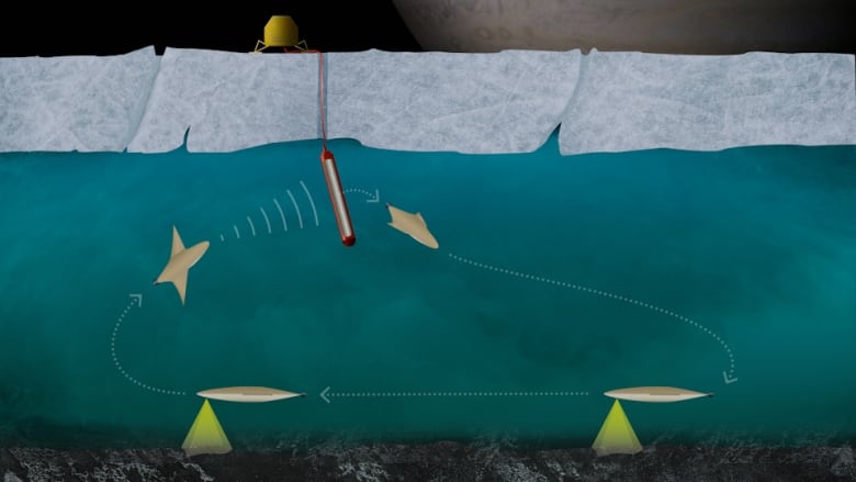 The main components of the TRIPLE system are shown in this cross-section of Antarctica. It includes a surface station on the ice where a large melting probe enters through the ice to create a melting channel where the autonomous underwater vehicle will travel through to explore the ocean underneath.