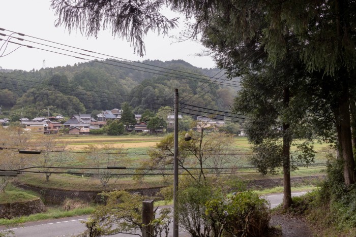 A view over green fields with wooden hills and a collection of houses in the distance