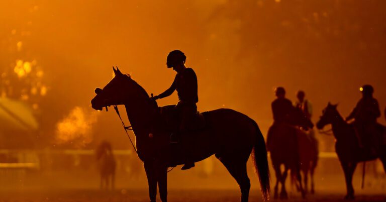 Racehorse Deaths in Saratoga Renew Old Worries and Prompt Reforms