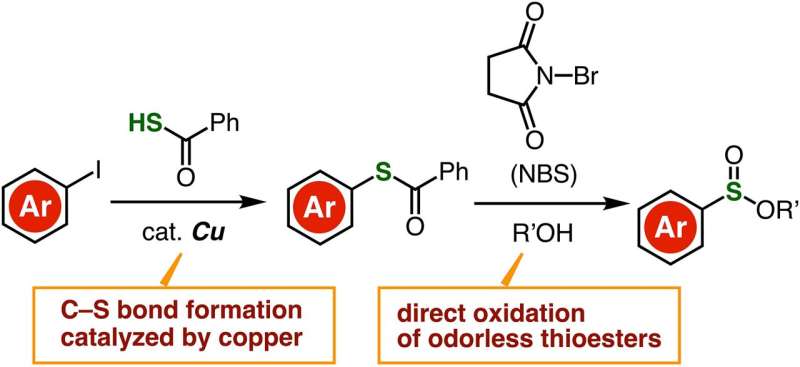 Extending the playing field for organosulfurs: a new way to synthesize sulfinate esters