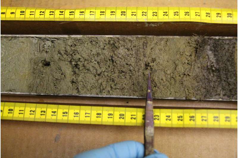 Ancient plant wax reveals how global warming affects methane in Arctic lakes