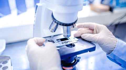 Scientist hands examining samples under a microscope