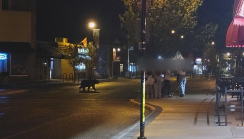 Four women with their faces blurred with a bear nearby. 