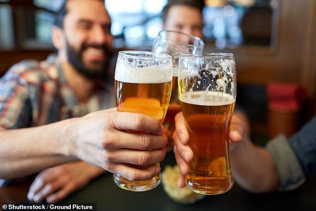 Beer could be GOOD for you: Scientists find drinking could boost gut health