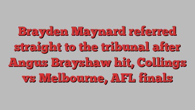 Brayden Maynard referred straight to the tribunal after Angus Brayshaw hit, Collings vs Melbourne, AFL finals