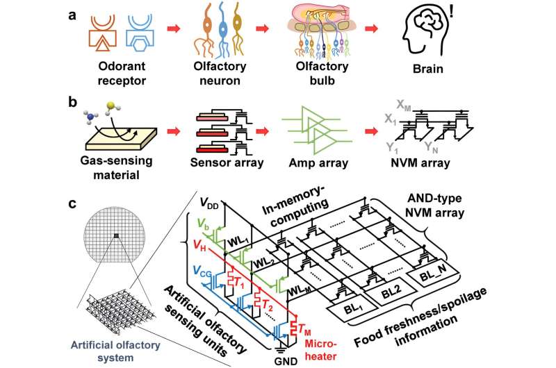 Can an artificial nose detect food spoilage?