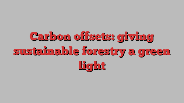 Carbon offsets: giving sustainable forestry a green light