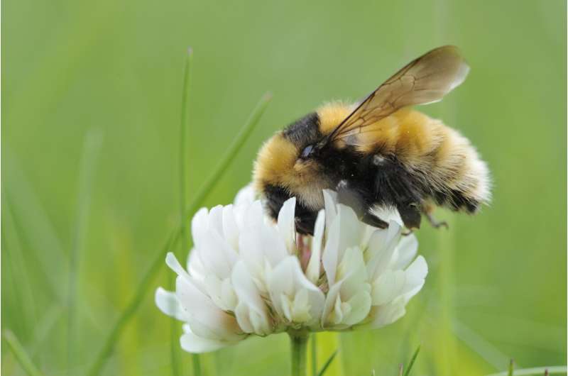 Considerable change needed to stop nature loss in Scotland