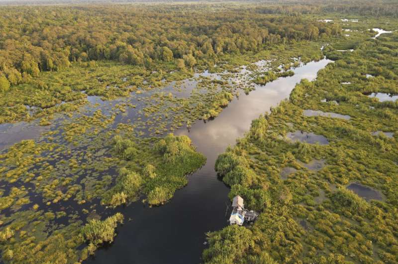 Curbing climate chaos—why nature is the unsung hero in our quest for net zero