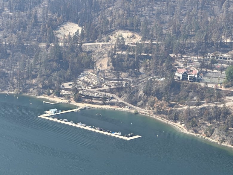 A hillside with charred trees and burned structures.