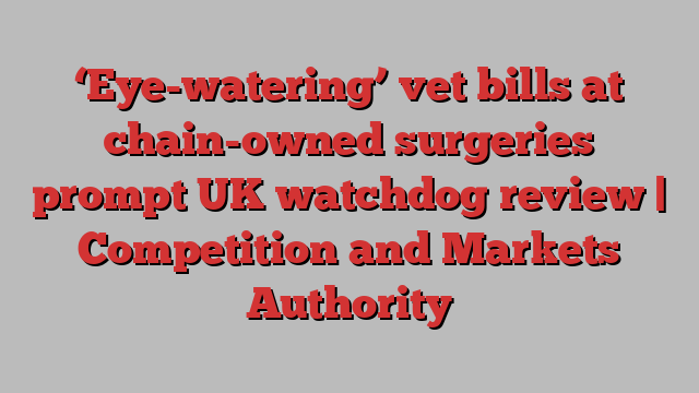 ‘Eye-watering’ vet bills at chain-owned surgeries prompt UK watchdog review | Competition and Markets Authority