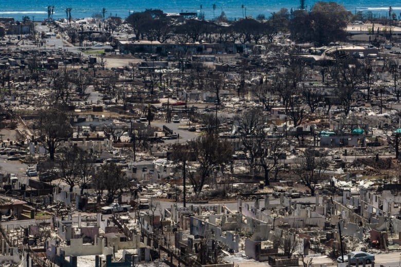 A wide shot of waterfront community showing burned out trees and structures is shown.