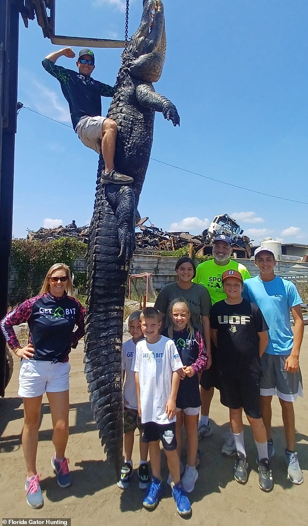 Like a dinosaur! Terrified Florida gator hunter describes catching huge 900-pound 13.3 feet alligator – the second largest ‘Gatorzilla’ ever killed in the state