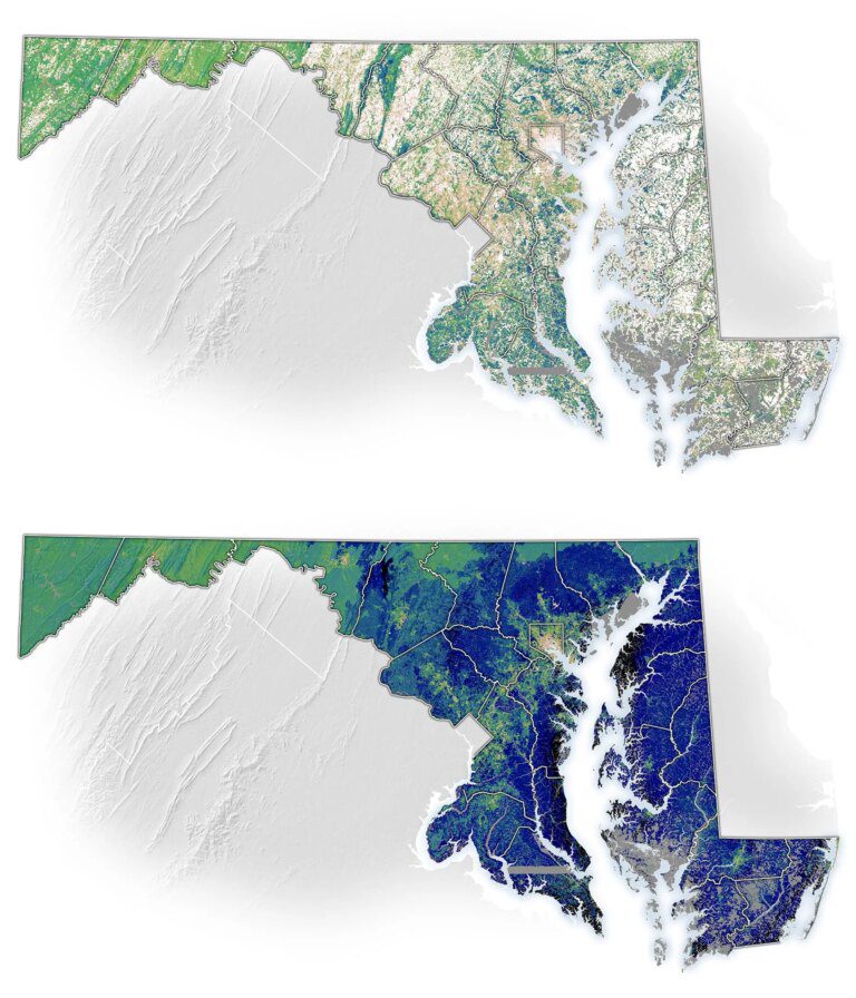 NASA Tech Pinpoints the Best Places To Plant Trees