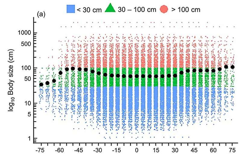 New study reveals global patterns in marine fish body size and trophic traits with latitude and depth