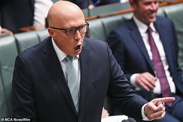 Peter Dutton LOSES IT over the Qantas-Qatar Airways saga – bellowing at Anthony Albanese’s transport minister in astonishing scenes