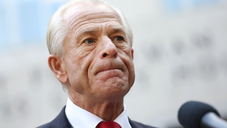 Peter Navarro speaks to reporters outside of a courthouse in Washington, D.C.