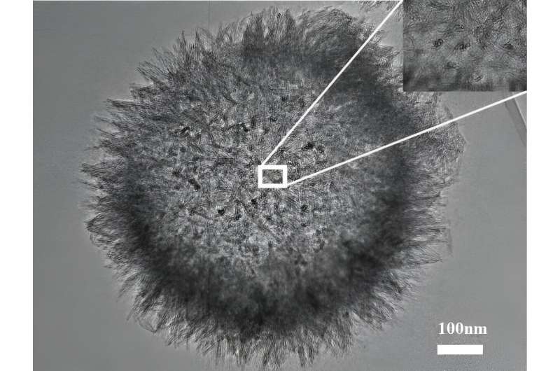 Researchers achieve efficient nutrient delivery to crop leaves through nanomaterial surface roughness engineering