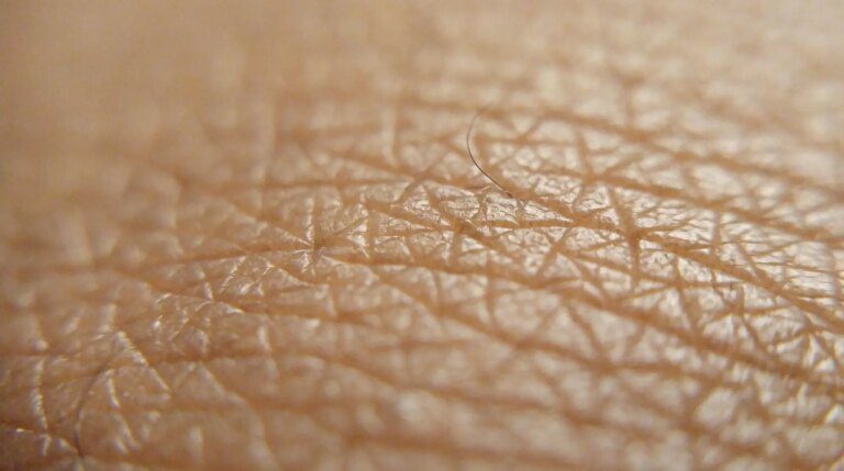 Why Does Skin Get “Leathery” After Too Much Sun? New Research Sheds Light