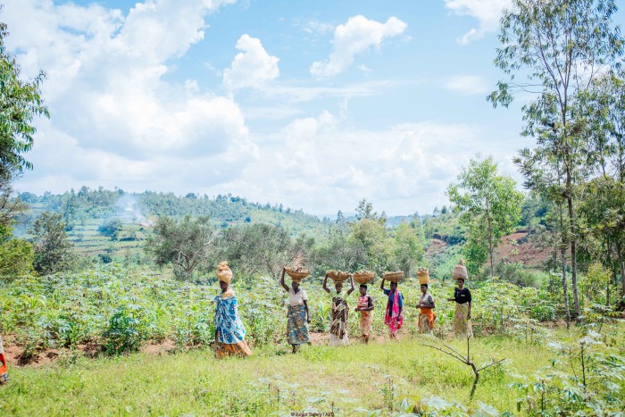 Women walk through a rural area carrying baskets