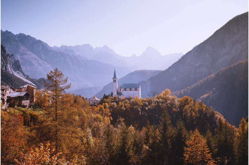 Italian mountain forest