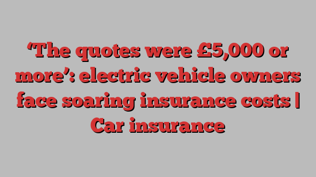 ‘The quotes were £5,000 or more’: electric vehicle owners face soaring insurance costs | Car insurance