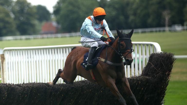 Stepney Causeway in winning action over fences at Worcester