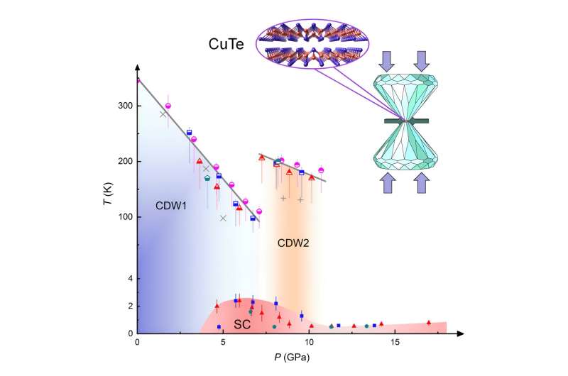 Two distinct charge density wave orders and their intricate interplay with superconductivity in pressurized CuTe