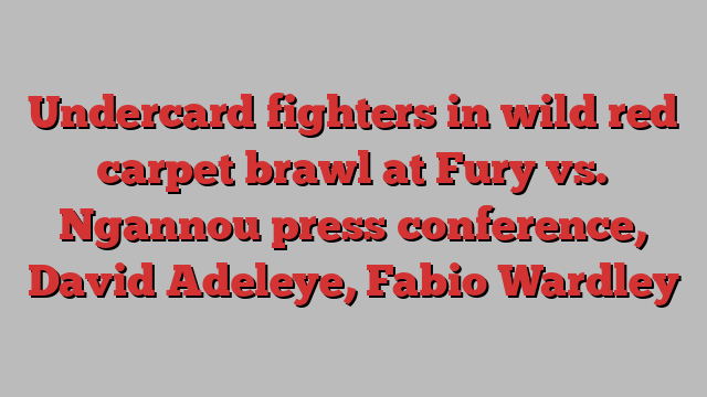 Undercard fighters in wild red carpet brawl at Fury vs. Ngannou press conference, David Adeleye, Fabio Wardley