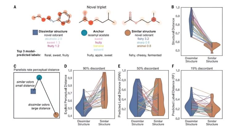 AI ‘nose’ predicts smells from molecular structures